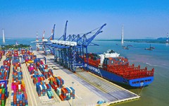 Hàng chục nghìn tấn hàng của Việt Nam được quốc gia láng giềng đổ tiền mua: 1/3 thế giới ưa chuộng, nước ta có diện tích trồng hơn 900.000ha