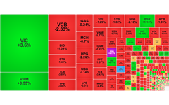 Chứng khoán ngày 3/9: VN-Index giảm nhẹ, áp lực dồn vào nhóm tài chính