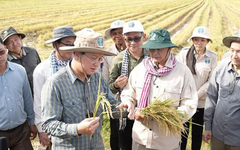 Một đối thủ của gạo Việt Nam, Thái Lan liên tiếp đón tin vui, đang sở hữu giống lúa nhận danh hiệu ngon nhất thế giới 7 lần liên tiếp