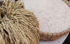 Giá xuất khẩu gạo tăng, nhưng đối thủ của Việt Nam, Thái Lan vẫn chưa thể vui mừng vì một lý do
