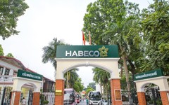 Tổng Công ty Điện lực miền Nam, Habeco... vào 'tầm ngắm' thanh tra của Bộ Công Thương năm 2024