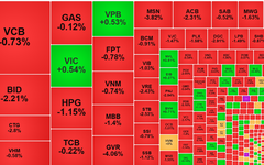 Chứng khoán ngày 25/3: NVL và HPX giao dịch bùng nổ trong phiên VN-Index mất gần 14 điểm