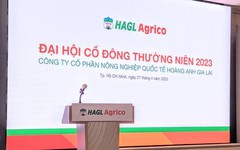 HAGL Agrico lỗ 12,7 tỷ đồng trong quý I, dự kiến năm thứ 3 liên tiếp lỗ nghìn tỷ