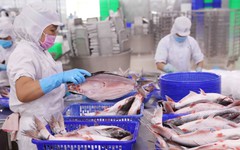 Doanh nghiệp của 'nữ hoàng cá tra' ghi nhận doanh thu tháng 5/2023 hồi phục 10%