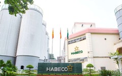 Sau quý I thua lỗ, Habeco lãi ròng gần 190 tỷ đồng trong quý II/2023