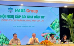 HAG và TDH bị duy trì diện cảnh báo vì lỗ lũy kế bán niên 2023