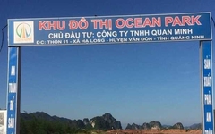 Công ty Quan Minh 'đội sổ' danh sách nợ thuế tỉnh Quảng Ninh