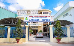 Angimex lần đầu có lãi trở lại sau 6 quý, nợ ngắn hạn vượt xa tài sản ngắn hạn