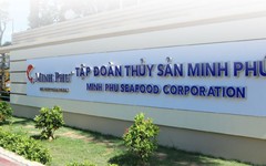 Kinh doanh thua lỗ, 'vua tôm' Minh Phú muốn lấn sân sang mảng bất động sản