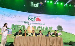 BaF Việt Nam lùi thời gian chào bán cổ phiếu và trả cổ tức tới quý II/2024