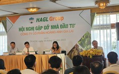 HAGL sẽ bán tiếp bệnh viện để trả nợ, dự kiến lợi nhuận 2023 gấp đôi kế hoạch