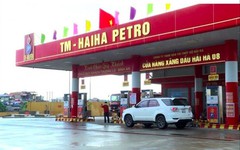 Thu hồi giấy phép đầu mối xăng dầu của Hải Hà Petro