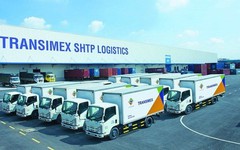 Transimex Logistics phát hành hơn 2 triệu cổ phiếu để hoán đổi nợ cho Công ty mẹ