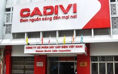 Cadivi bị phạt thuế hơn 1,4 tỷ đồng