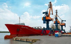 Kiểm soát viên của HAH bán nhầm cổ phiếu do ‘mắt kém'