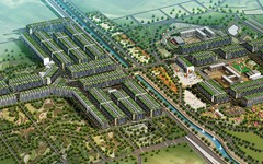 Lideco sắp trả cổ tức 2022 bằng tiền, tỷ lệ 25%