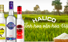 Chủ thương hiệu Vodka Hà Nội báo lỗ quý thứ 27 liên tiếp, lỗ luỹ kế gần 460 tỷ đồng