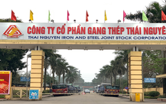 Gang thép Thái Nguyên (Tisco) lỗ hơn 179 tỷ đồng trong năm 2023