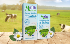 Mộc Châu Milk lãi 374 tỷ đồng trong năm 2023, mang hơn tài sản đi gửi ngân hàng