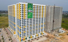 Evergreen Bắc Giang bị phạt 320 triệu đồng do vi phạm bảo vệ môi trường