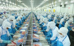 Giá bán nhóm sản phẩm cá tra giảm, Vĩnh Hoàn báo lãi ròng quý I/2024 ‘đi lùi’ 22,5%