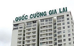 Quốc Cường Gia Lai muốn bán hai nhà máy thủy điện, dự thu 615 tỷ đồng