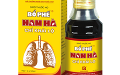 Dược Nam Hà báo lãi ròng năm 2023 ‘bốc hơi’ 54%, cắt giảm gần 1/3 nhân sự