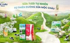 110 triệu cổ phiếu MCM chính thức chào sàn HoSE từ 25/6 với giá tham chiếu 42.800 đồng/cổ phiếu