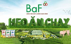 BaF Việt Nam bị phạt hơn 240 triệu đồng do mắc nhiều vi phạm