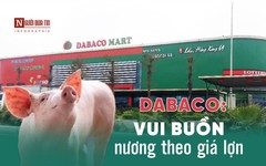 [Info] Dabaco: Vui buồn nương theo giá lợn