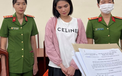 Ngọc Trinh bị khởi tố, bắt tạm giam về tội 'Gây rối trật tự công cộng'