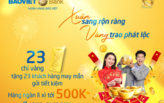 Xuân sang rộn ràng, vàng trao phát lộc cùng BAOVIET Bank