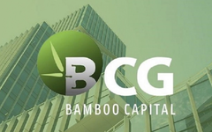 Bamboo Capital có biến động về nhân sự cấp cao