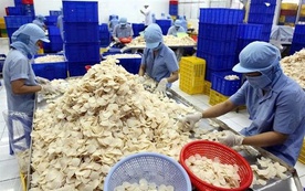 Công ty con của Vĩnh Hoàn muốn huy động gần 465 tỷ đồng để làm gì?