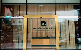 Vinaconex 34 bị hủy tư cách công ty đại chúng