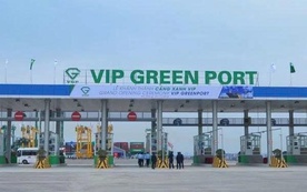 Viconship sắp thu gần 90 tỷ đồng cổ tức từ Cảng Xanh Vip