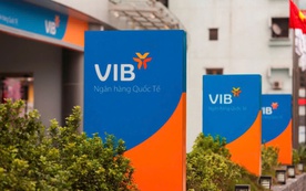 VIB ‘hút’ thành công 3.000 tỷ đồng từ kênh trái phiếu