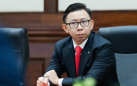 Ông Phạm Nhật Quân Anh làm Tổng Giám đốc VinMetal