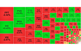 Chứng khoán ngày 5/11: Thanh khoản giảm, VN-Index tăng 2,91 điểm