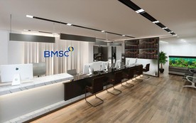 11 nhà đầu tư nắm 61,86% vốn Chứng khoán Bảo Minh sau đợt chào bán cổ phiếu