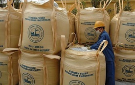 Phân lân Văn Điển không còn đáp ứng điều kiện công ty đại chúng