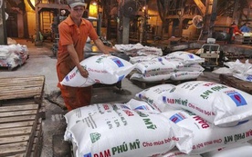 Đạm Phú Mỹ sắp phát hành hơn 288 triệu cổ phiếu để tăng vốn điều lệ