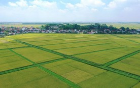 Quy định tính tiền sử dụng đất đối với hộ gia đình, cá nhân khi chuyển từ đất nông nghiệp sang đất ở năm 2026