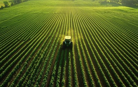 Quy mô vốn hàng trăm tỷ đồng, Agronexus Capital vẫn chậm đóng bảo hiểm