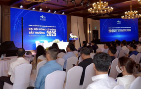 Novaland được cổ đông chấp thuận phương án hoán đổi hơn 8.700 tỷ đồng nợ vay