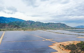 Viễn Thông Trịnh Gia Nguyễn và Xuân Thiện Ninh Thuận bị xử phạt vì không công bố thông tin