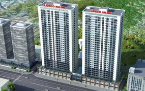 Phó Chủ tịch Lideco liên tiếp đăng ký mua cổ phiếu NTL