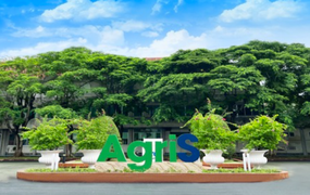 AgriS giảm sở hữu tại Điện Gia Lai