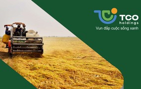 TCO Holdings muốn chuyển nhượng cổ phần tại công ty con
