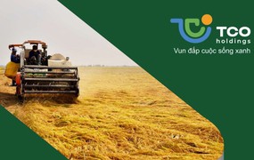 TCO Holdings muốn đầu tư vào Pacific Lines